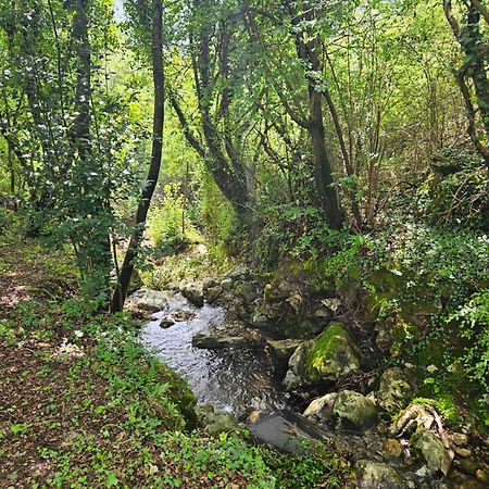 Villa RADA Igalo Esterno foto