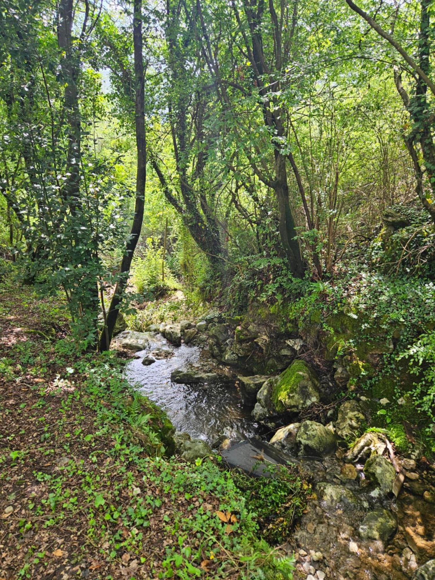 Villa RADA Igalo Esterno foto